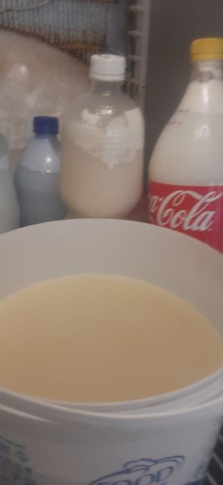 продам кумус,мягки вкусные
