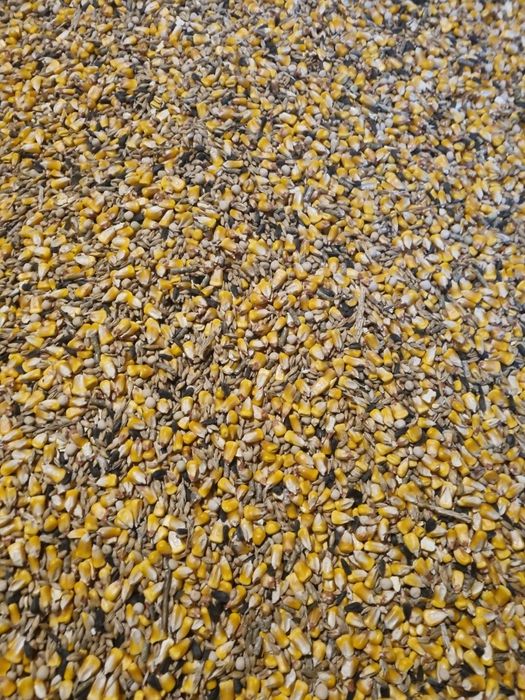 Cereale amestec Porumb Grâu Orz