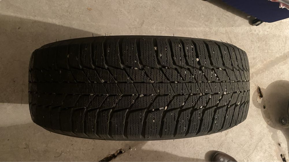 Зимние шины triangle