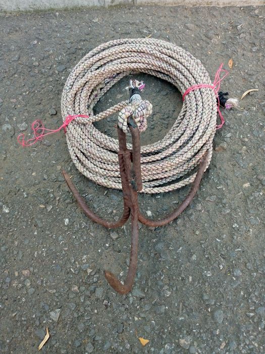 Кошка для всех нужд