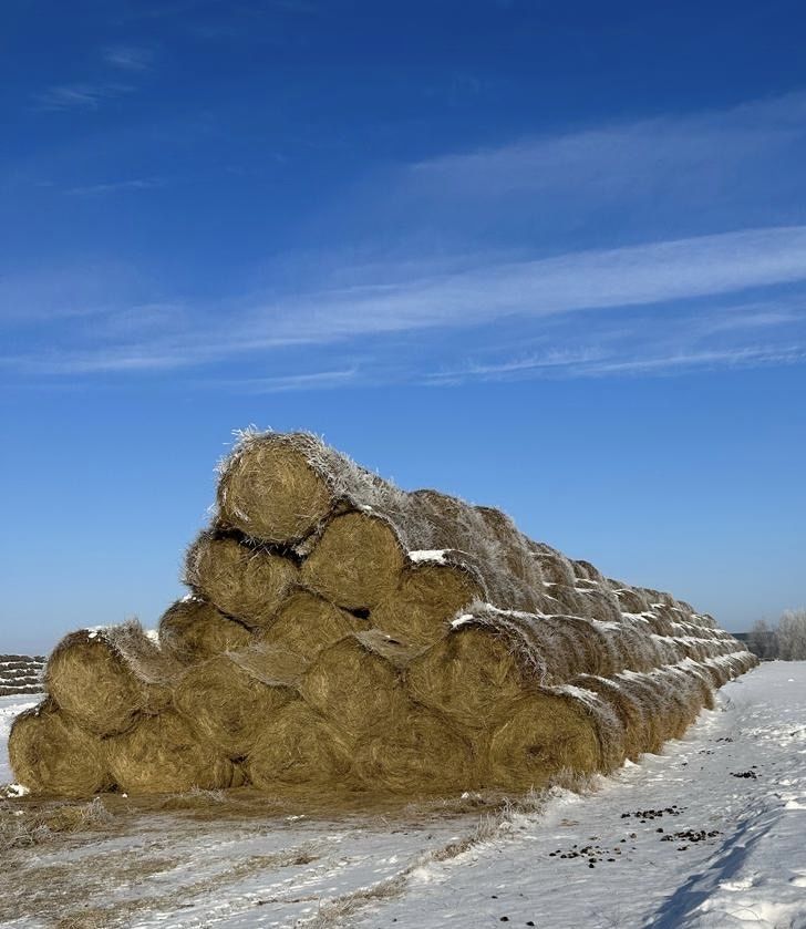 Сено в рулонах