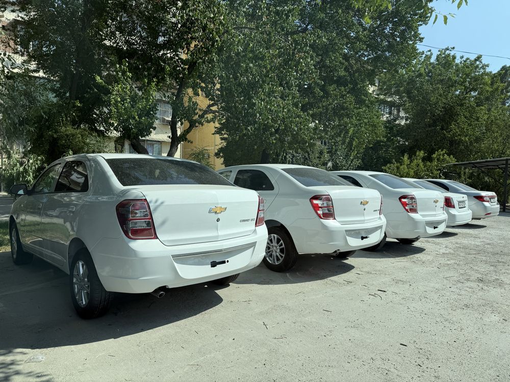 Cobalt 4-poz masla bez prabeg natarius bonus tekin soni kamqoldi
