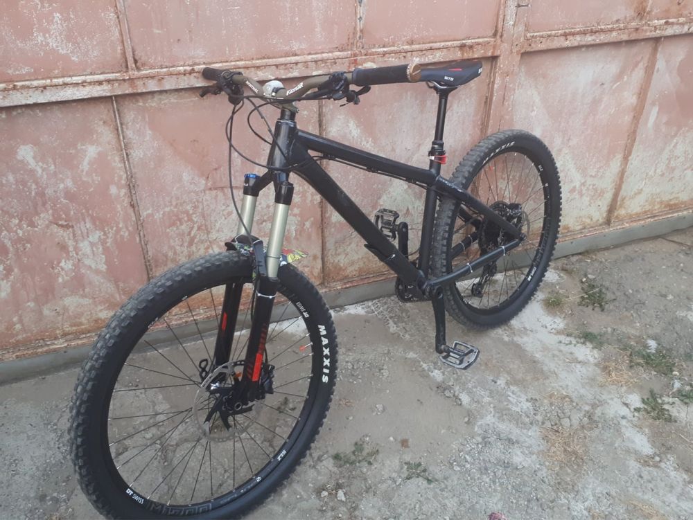 Dartmoor hornet (custom) 27.5