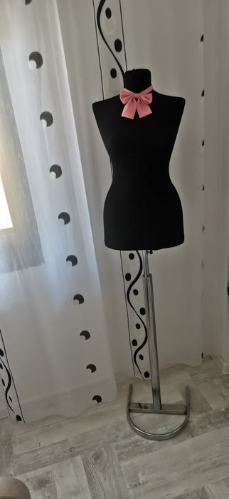 Manechin de inchiriat Constanta