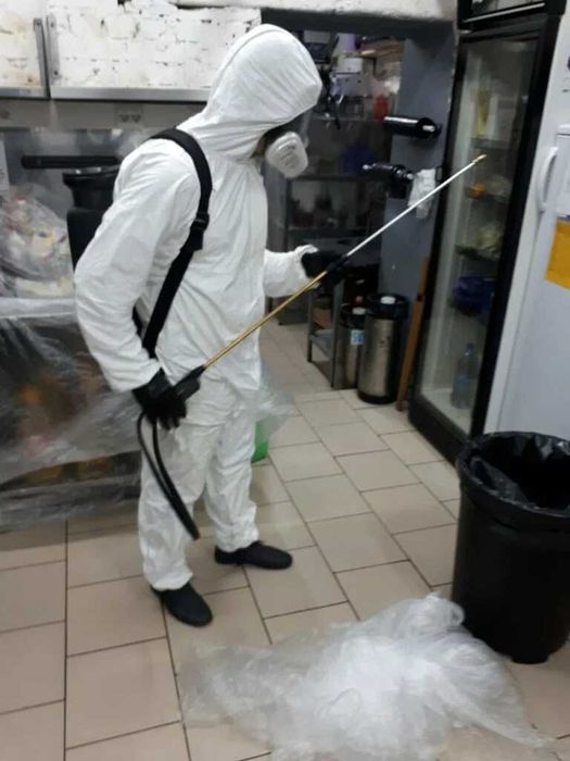 | Уничтожение клопов и тараканов | Сертифицировано | Круглосуточно |