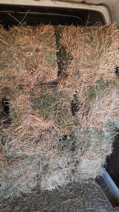 ‼️ Vand baloti de lucerna 2025, 40 lei balotul ‼️