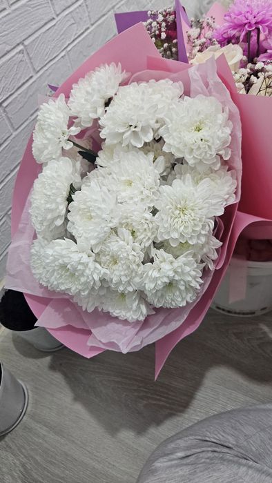 Продам цветы хризантемы