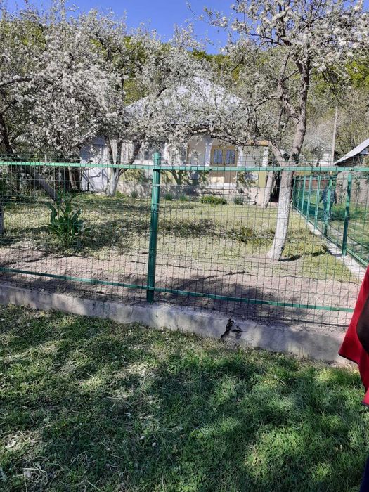 Casuta din vis, de la poalele padurii