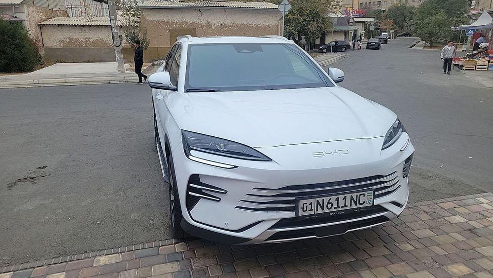 Byd chempion 110 li gibrid