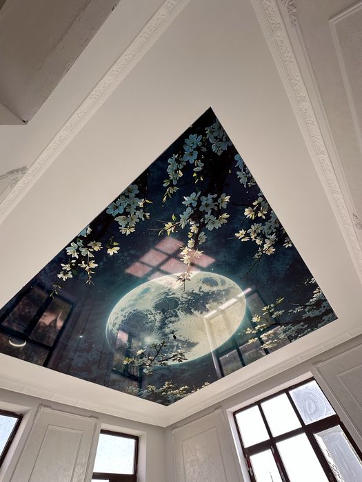 Натяжные потолки и 3D фотообои