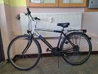 Bicicleta Mountain Bike McKenzie din Germania Roti 28