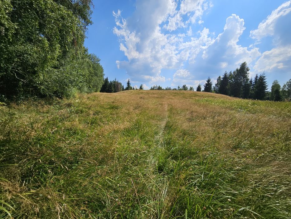 Teren Dealu Negru de vanzare, la 3 km de Belis
