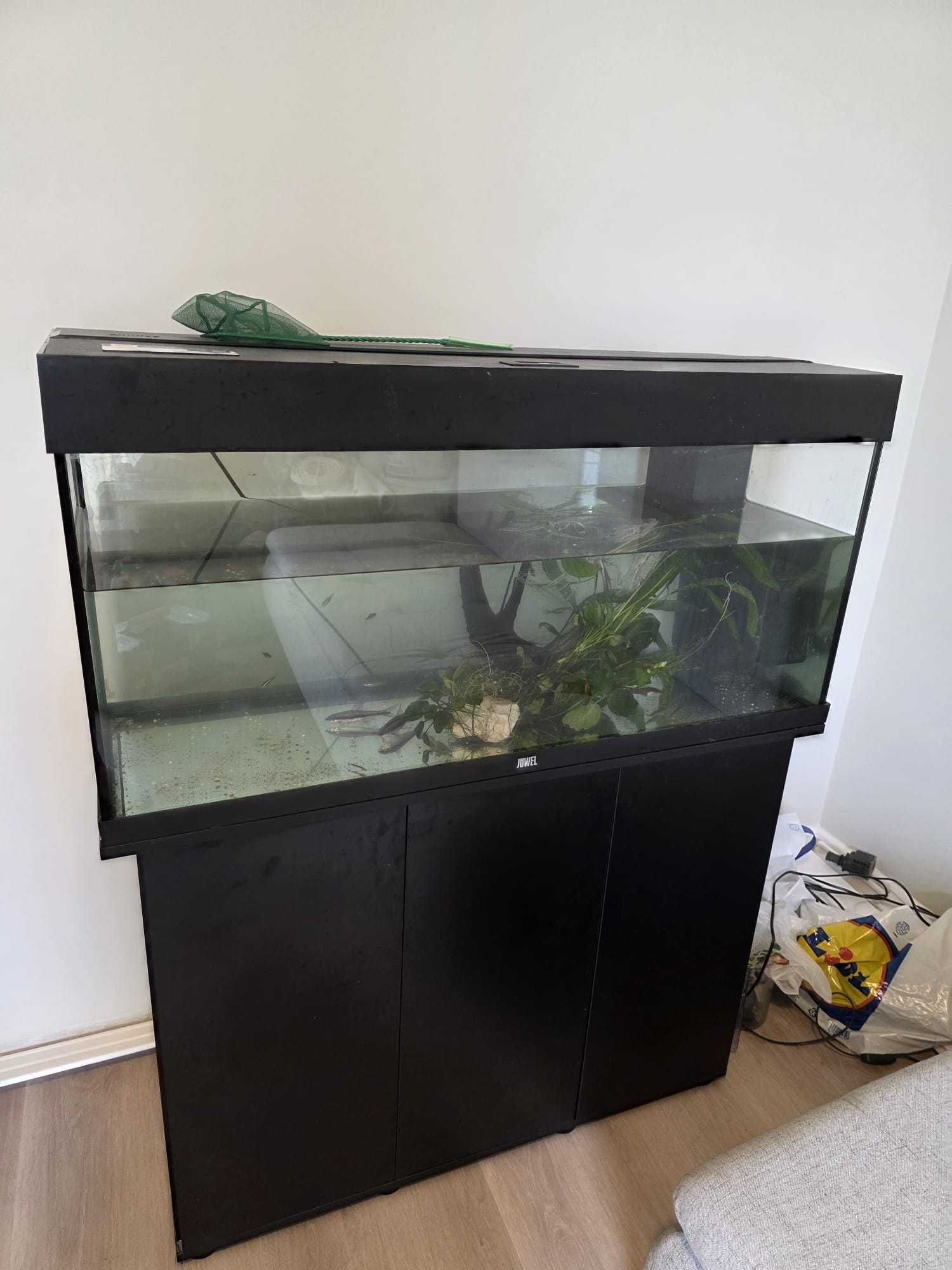 Acvariu RIO JUWEL 180
