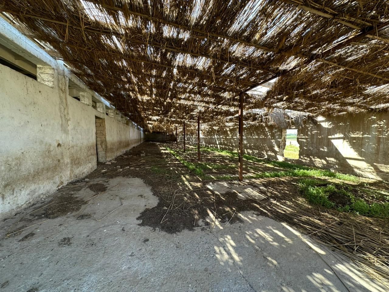 Продается кошара в с.Колкент, рядом с.Касымбек Датка.
