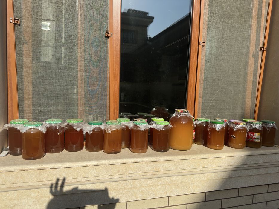 Asal toza tog'niki mayski