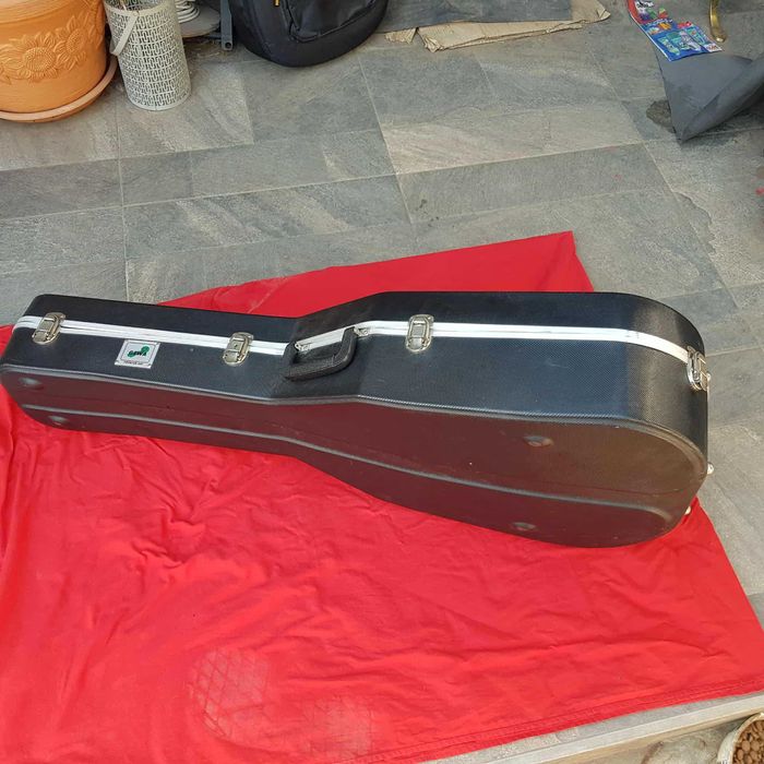 Chitara Pro Natura Silver 4/4 Maple