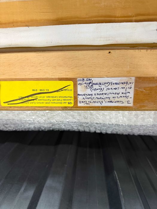 Pictură pe ulei 60x80 cm