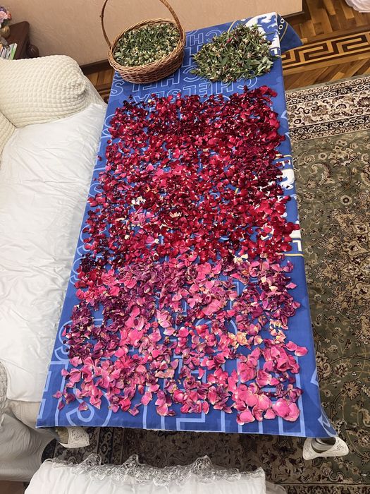 Сухие лепестки ароматных белых роз