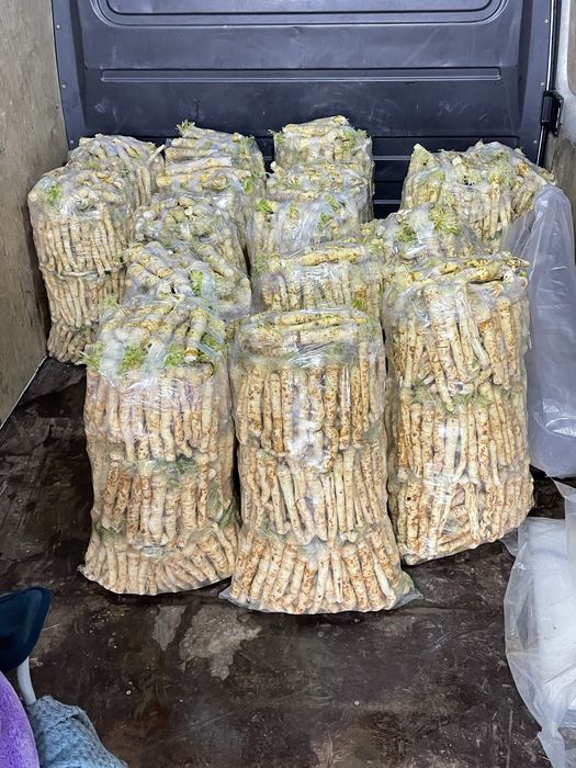 Hrea proaspat SPALAT & NE’SPALAT