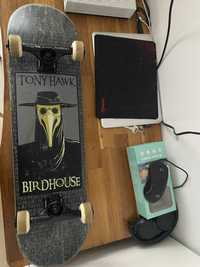 Vand skateboard Birdhouse
