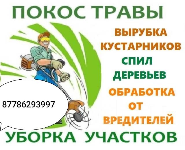 Покос травы и кронирование деревьев.