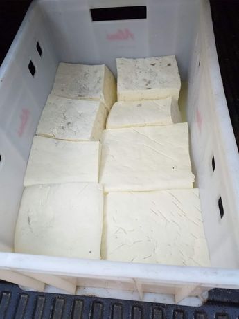 Brânză proaspătă / veche/ cantitate peste 150 kg.