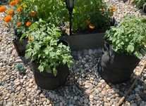 Saci și Ghivece din geotextil pentru cultivat răsaduri, flori, arbuști