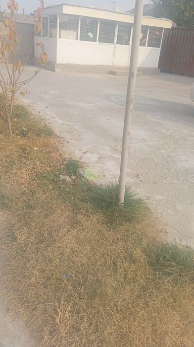 кучма дукон акфадан