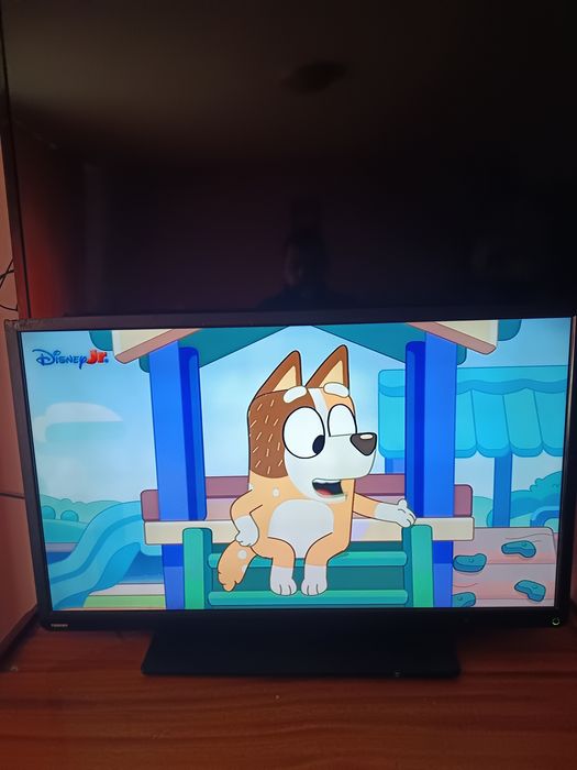 TV Toshiba 102'  / Orion 54'