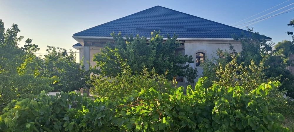 Түркістан да уй саталады