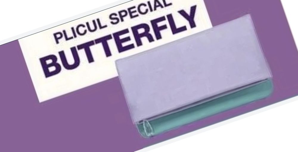 Plic colorat de zi si de seara, Avon, nou Butterfly