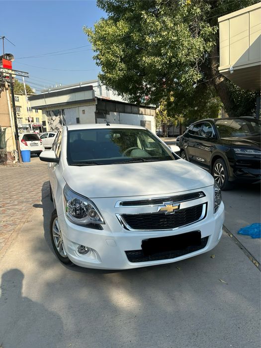 Cobalt oq 2024 ltz