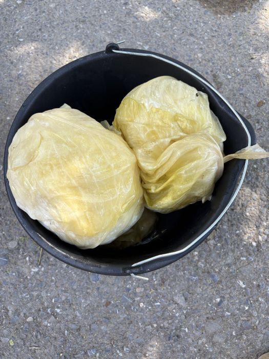 Varza murata pentru sarmale