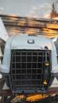 Cusca pentru transport caini