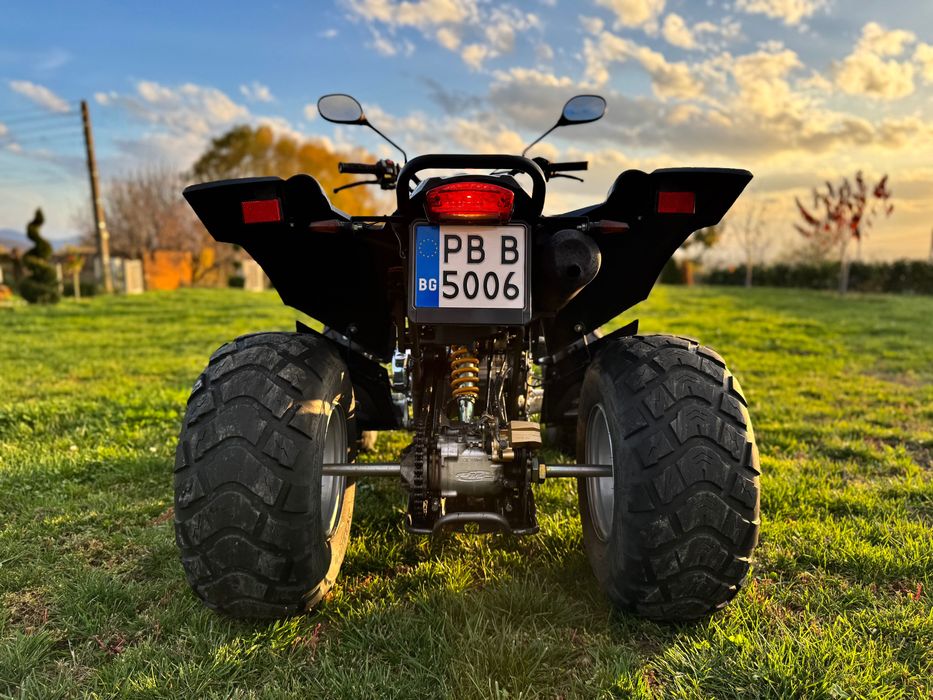 ATV SMC 250 кубика