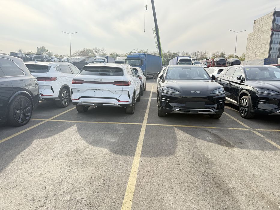 Sea Lion 06. Tashkent da Nd 40. Klent nomiga chiqadi