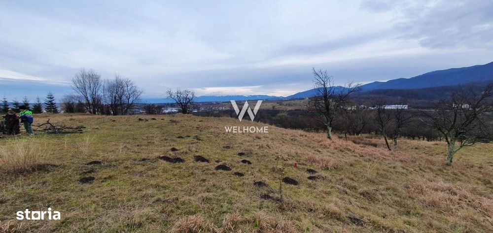 Rădăcini noi, visuri vechi- Teren de vanzare in Cisnadioara, Sibiu