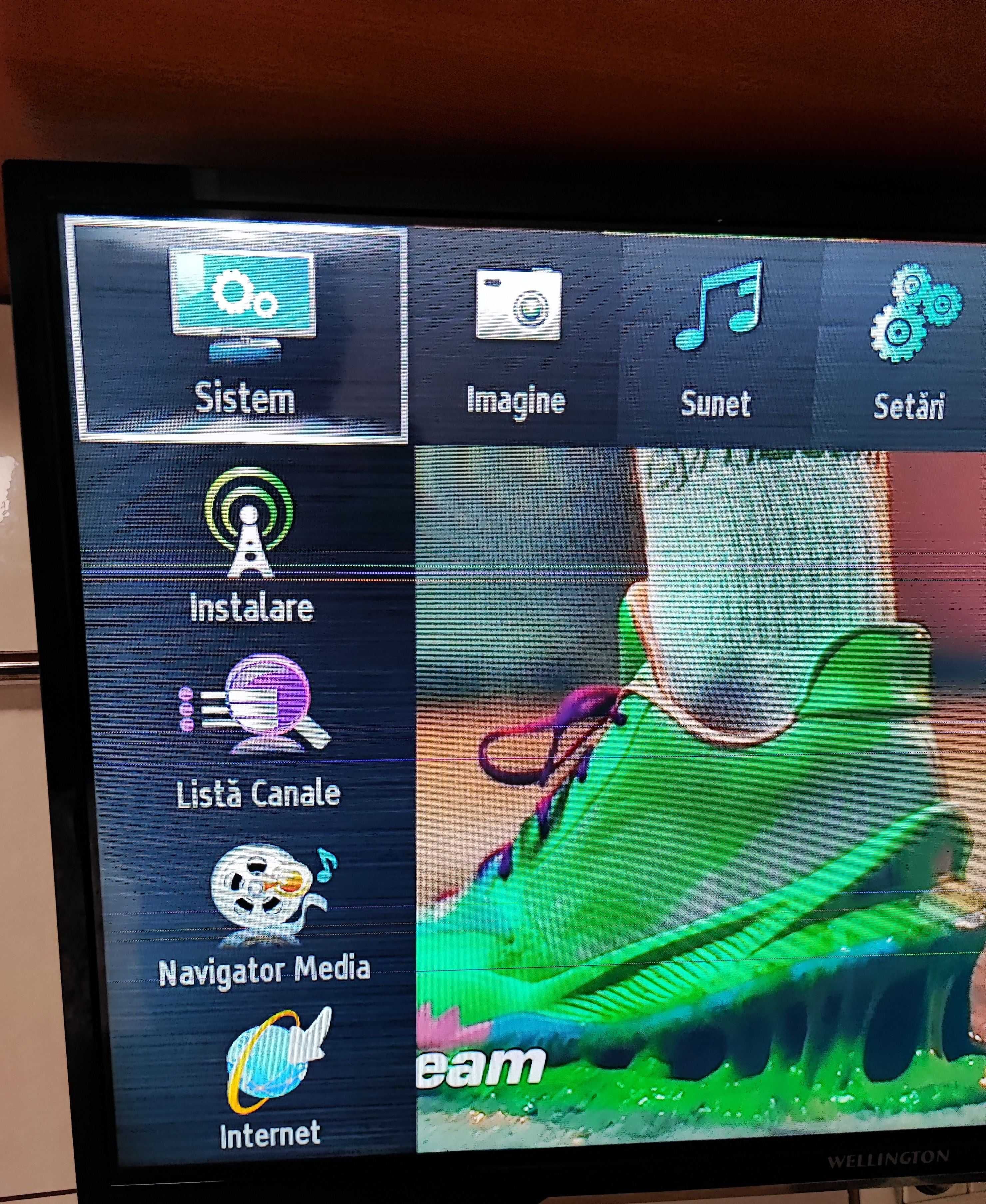 Tv Wellington 80cm SMART LED  ,ecran cu defect