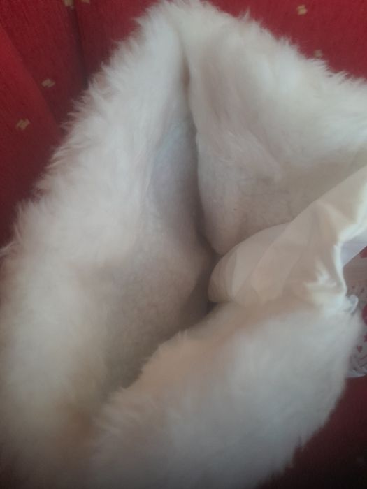 Ботуши за момиче 37