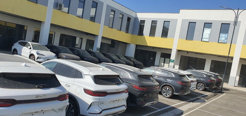 BYD Champion Smart Drive EV 2026