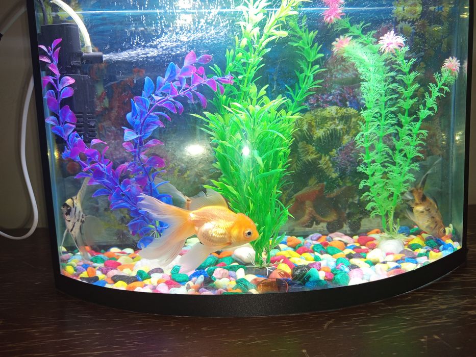 Аквариум 40 литр