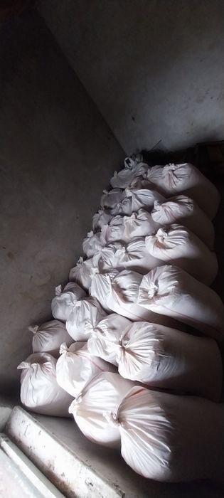 Rumegus de fag uscat curat pentru afumat in Satu Mare