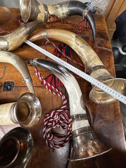 Колекция антични рогове