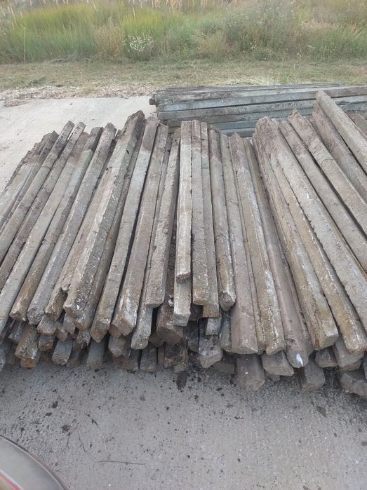 17 lei spalieri de vie