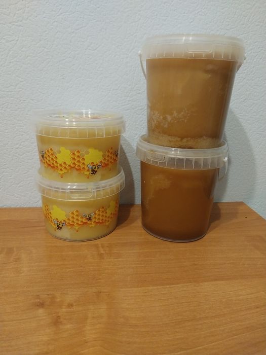 Продам Алтайский мёд