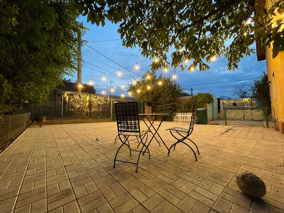 Cazare câini,webcam curte, padoc, Pet sitter