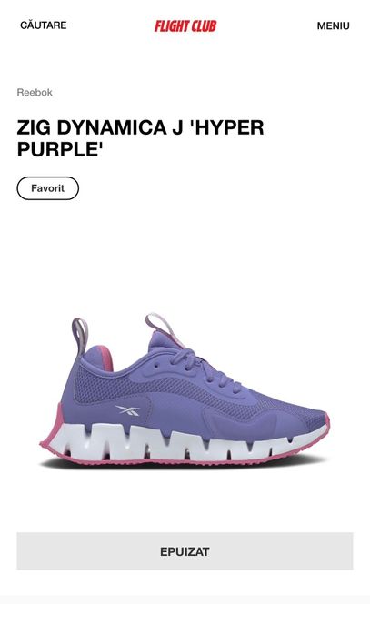 Adidași Reebok Zig Dynamica