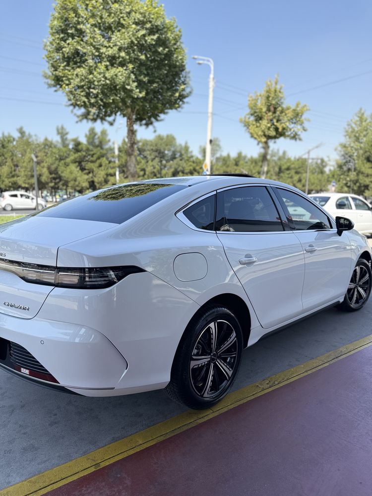 BYD CHAZOR  120 tali 2023 Afitsalniy dealler 24000 km