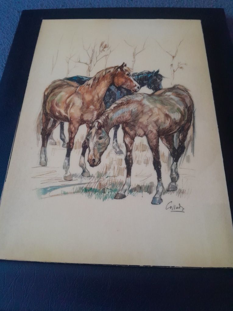 Set tablouri cu cai