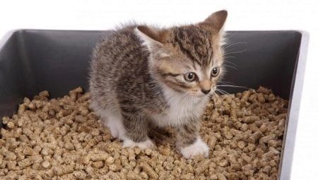Лотки и наполнители для кошек и котят. Доставка.